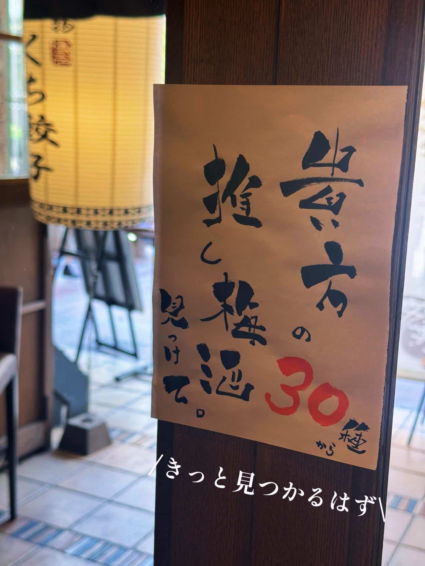 『推し梅酒を見つけちゃって！』《きばくもん/静岡/居酒屋/博多料理/果実酎ハイ/野菜巻き串/飲み放題/新年会/送別会/歓…