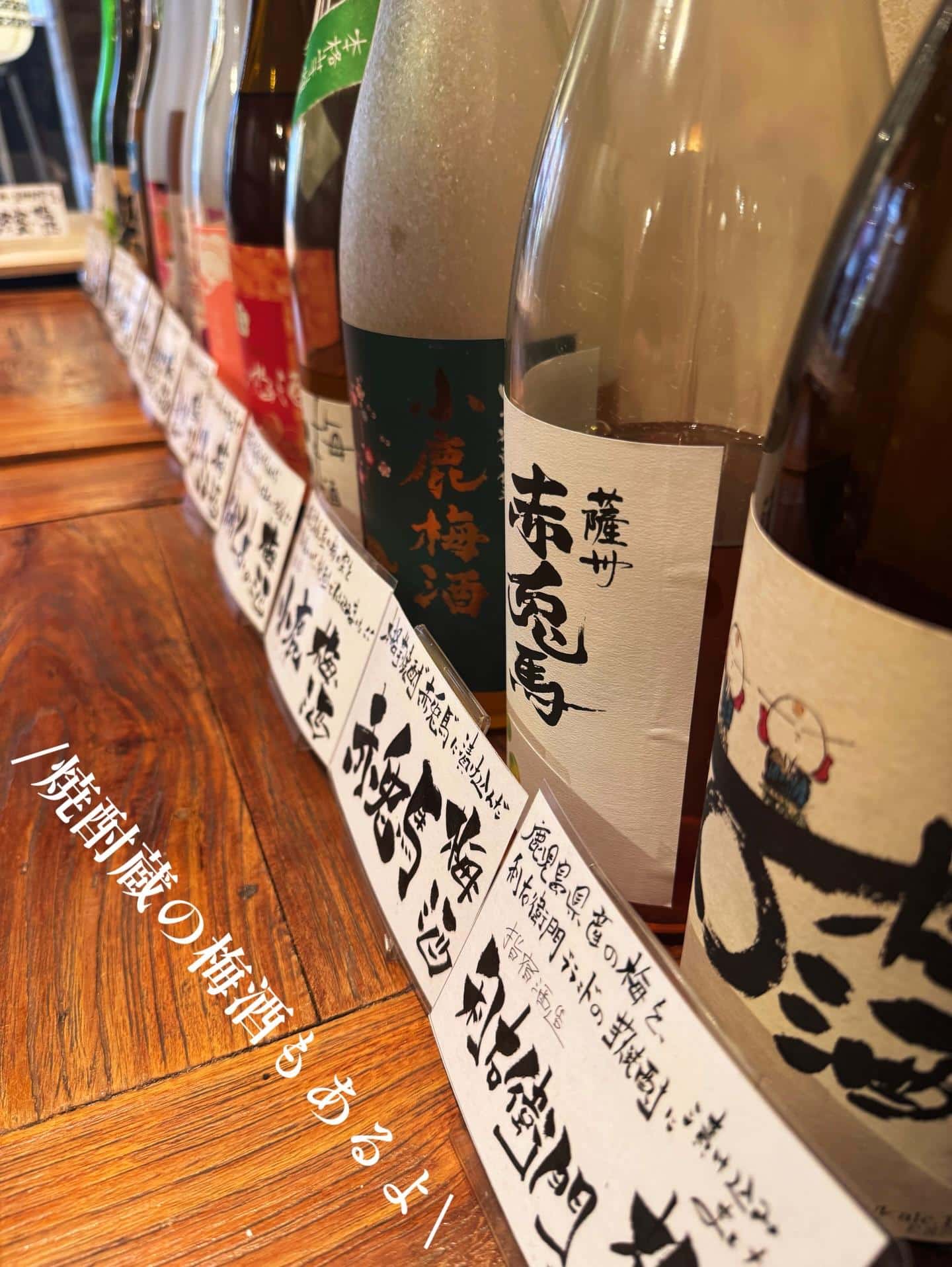 『焼酎蔵の自慢の梅酒も飲めちゃいます』《きばくもん/静岡/居酒屋/博多料理/果実酎ハイ/野菜巻き串/飲み放題/新年会/送…